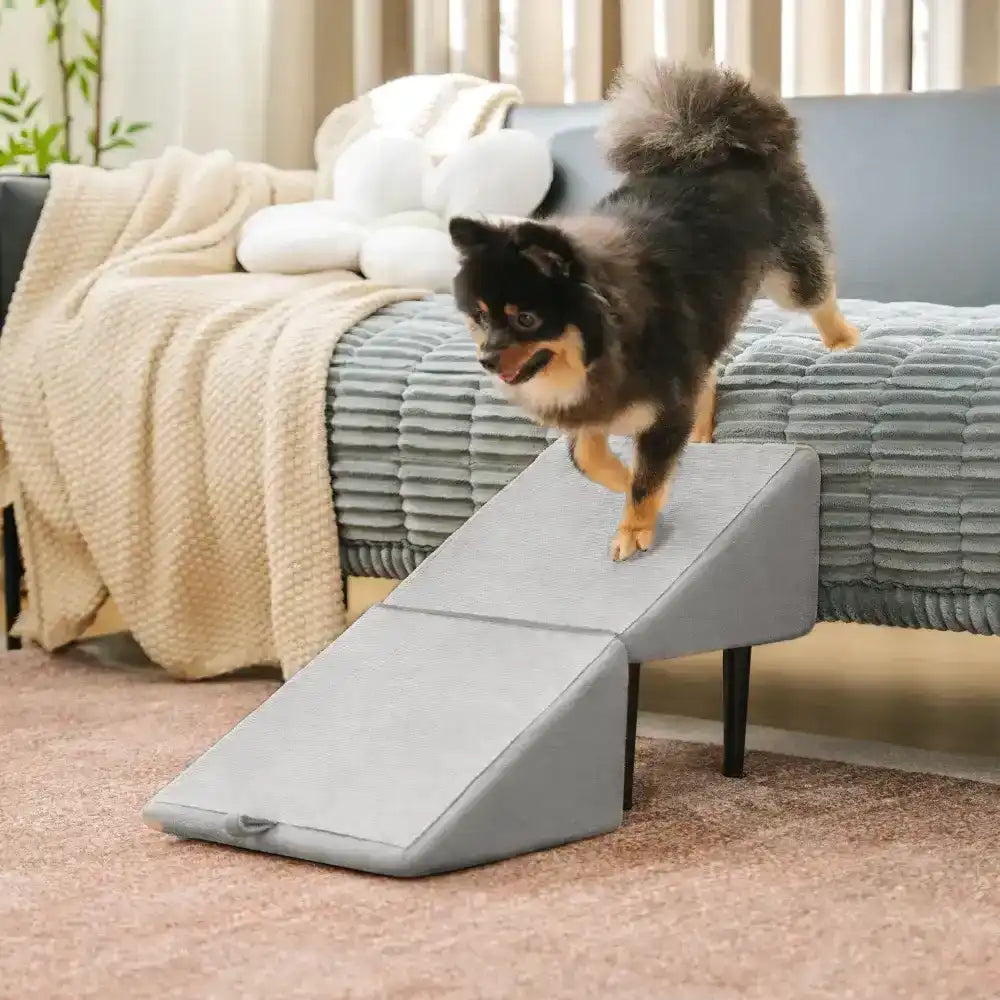 Moderne Holzrampe & Treppe 2-in-1, sicherer Aufstieg für Hunde jeder Größe, besonders Senioren & kleine Rassen.