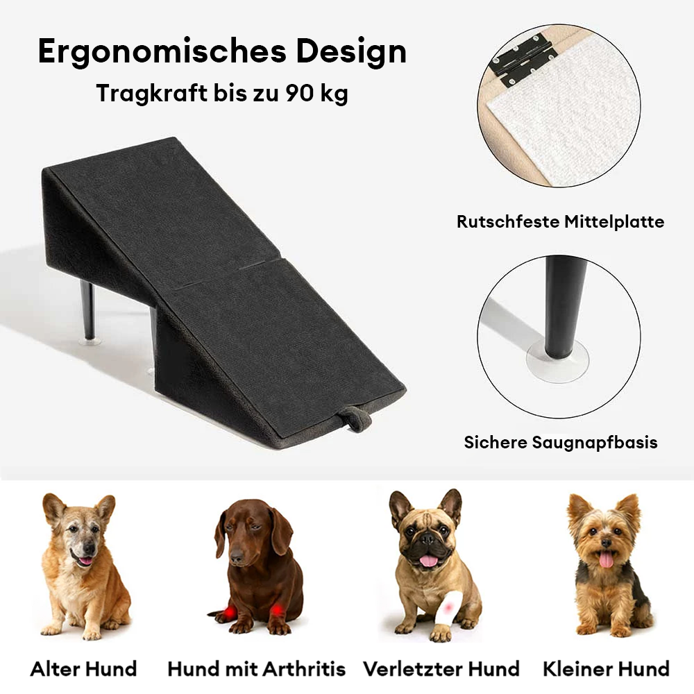 Elegante Holzrampe für Hunde, faltbar & umwandelbar zur Treppe, perfekte Mobilitätshilfe für kleine Hunde.