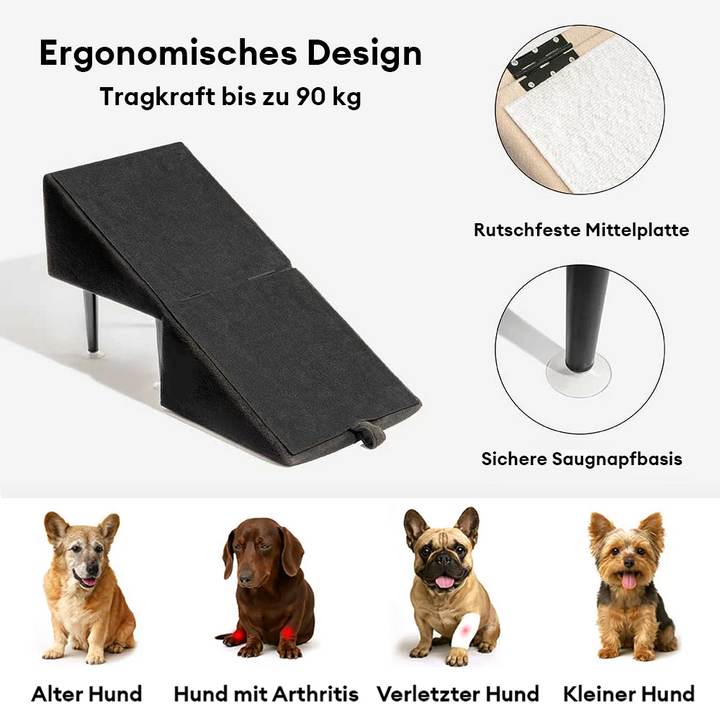Elegante Holzrampe für Hunde, faltbar & umwandelbar zur Treppe, perfekte Mobilitätshilfe für kleine Hunde.