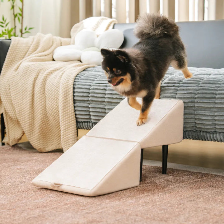 Stabile Hunderampe aus Holz, umwandelbar zur Treppe, ideal für mittelgroße Hunde & Senioren mit Gelenkproblemen.