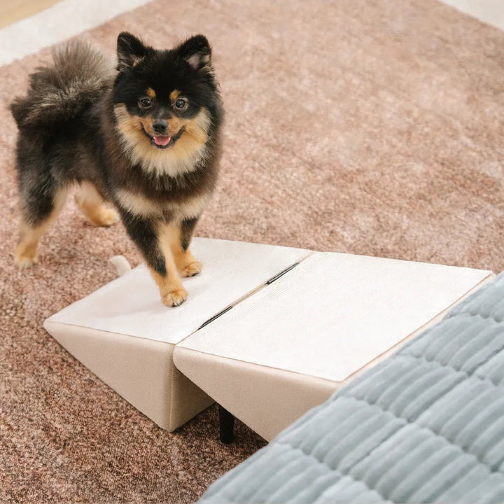 Bequeme Hundetreppe aus Holz für kleine & ältere Hunde, einfacher & sicherer Aufstieg, fördert Mobilität.