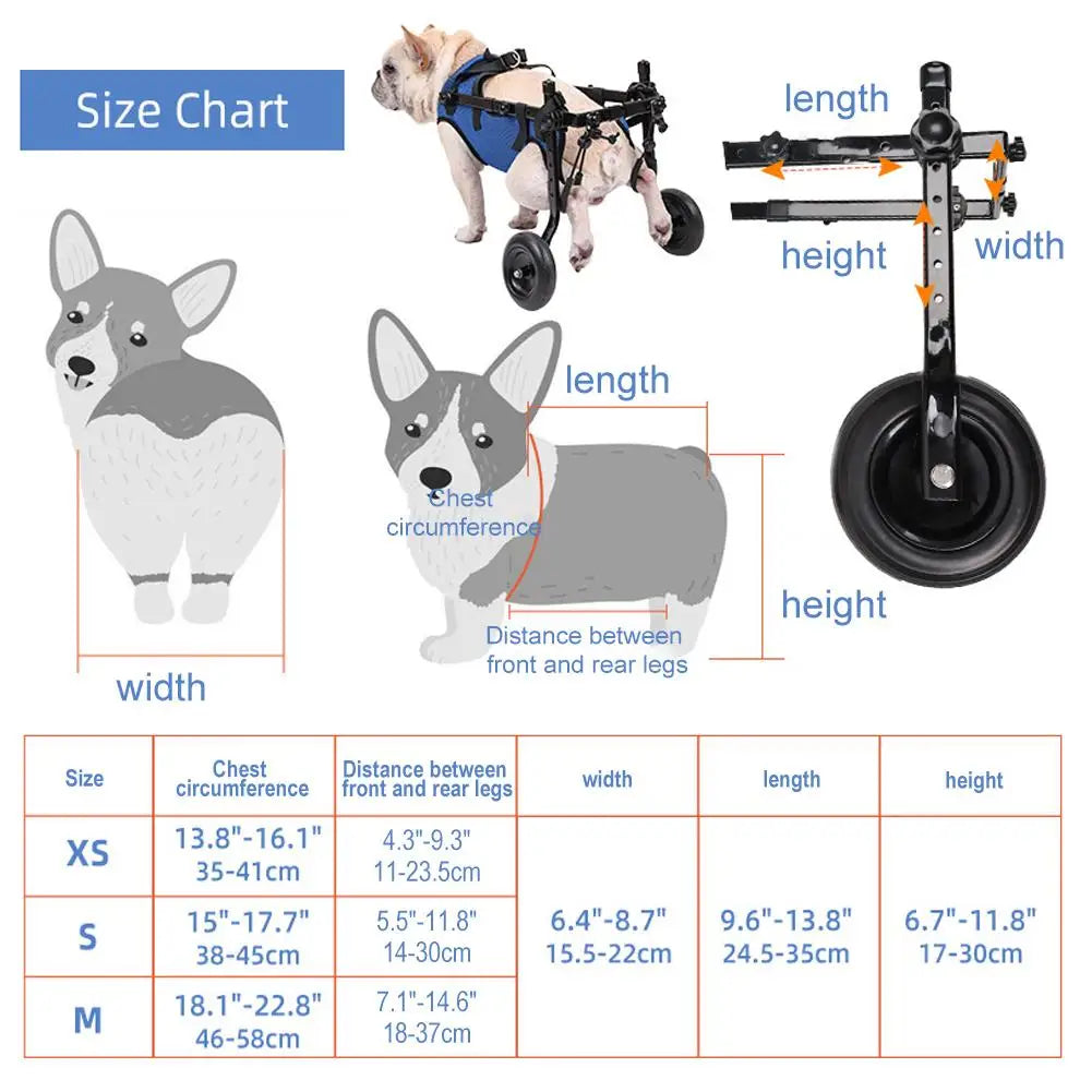 Hunderollstuhl für kleine Hunde. Ergonomisches Design, verstellbar, bietet Komfort & sichere Mobilitätshilfe.