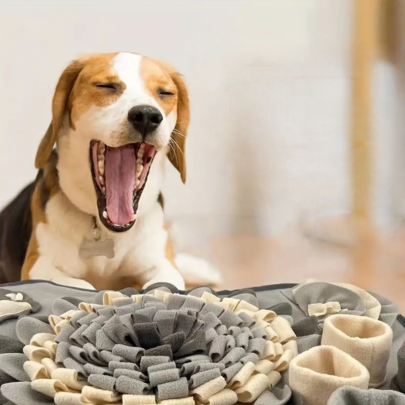 Buddy Schnüffelteppich, interaktives Hundespielzeug zum Verstecken von Futter, Anti-Schling-Napf Alternative.
