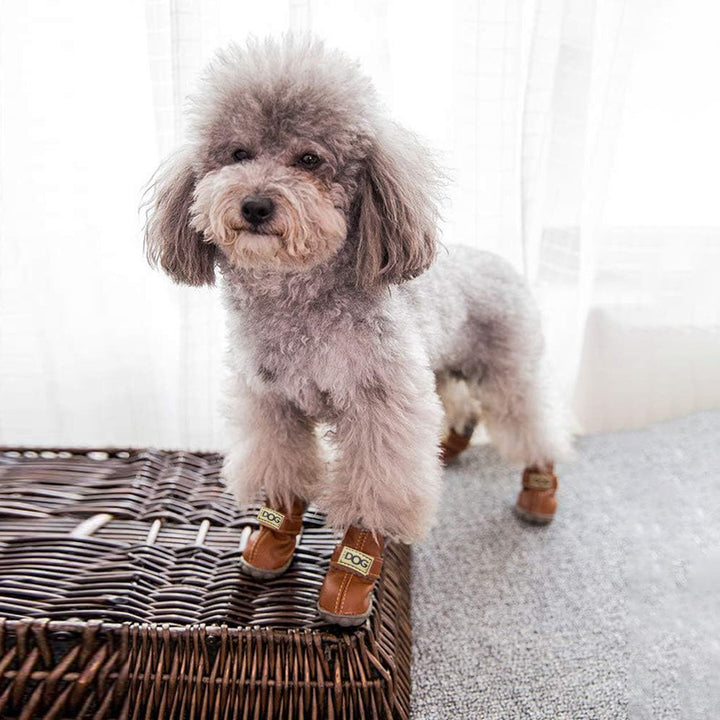 Hundeschneeboots: Warme & anti-rutsch Pfotenschuhe für optimalen Kälteschutz im Winter.