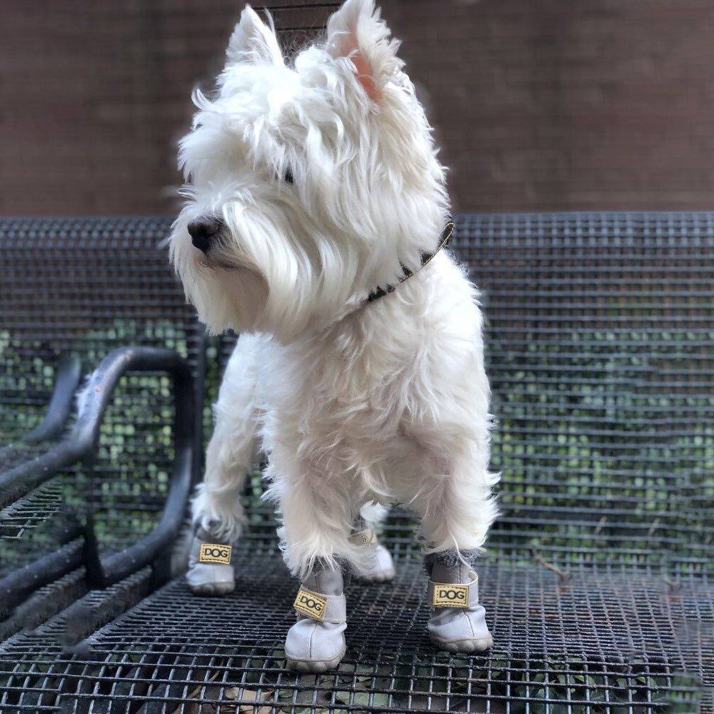 Robuste Winterstiefel Hund, schützen Pfoten vor Schnee & Eis. Ideal als Anti-Rutsch Stiefel.