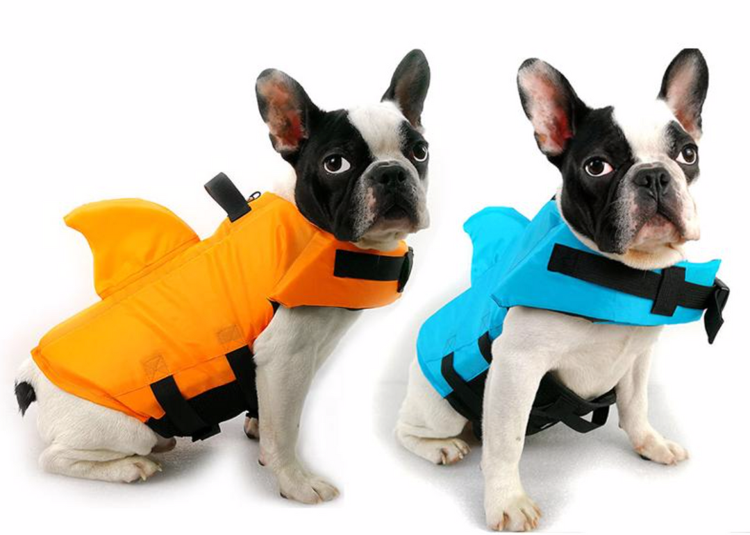 Hundeschwimmweste für sicheren Wasserspaß & optimale Auftriebshilfe. Perfektes Hundezubehör.