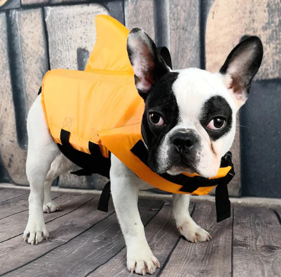 Die Hundeschwimmweste gibt Hunden Selbstvertrauen im Wasser und fördert den sicheren Schwimmspaß.