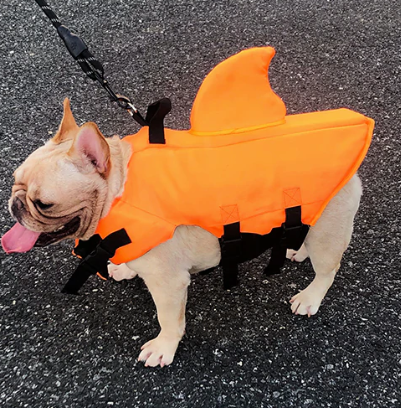 Kleine Hundeschwimmweste für Welpen & kleine Rassen, bietet sicheren Auftrieb & Schutz im Wasser.
