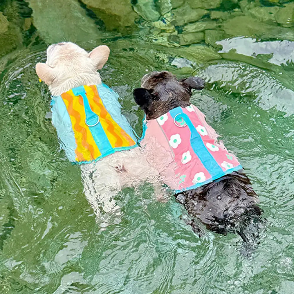 Hundeschwimmweste für sicheres Schwimmen und Wassersport. Verstellbar & robust für optimale Sicherheit der Hunde.