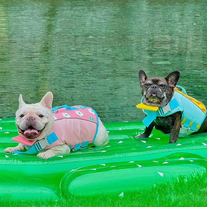 Robuste Hundeschwimmweste für Wasserabenteuer. Bietet Sicherheit und Komfort für Hunde beim Schwimmen im Sommer.