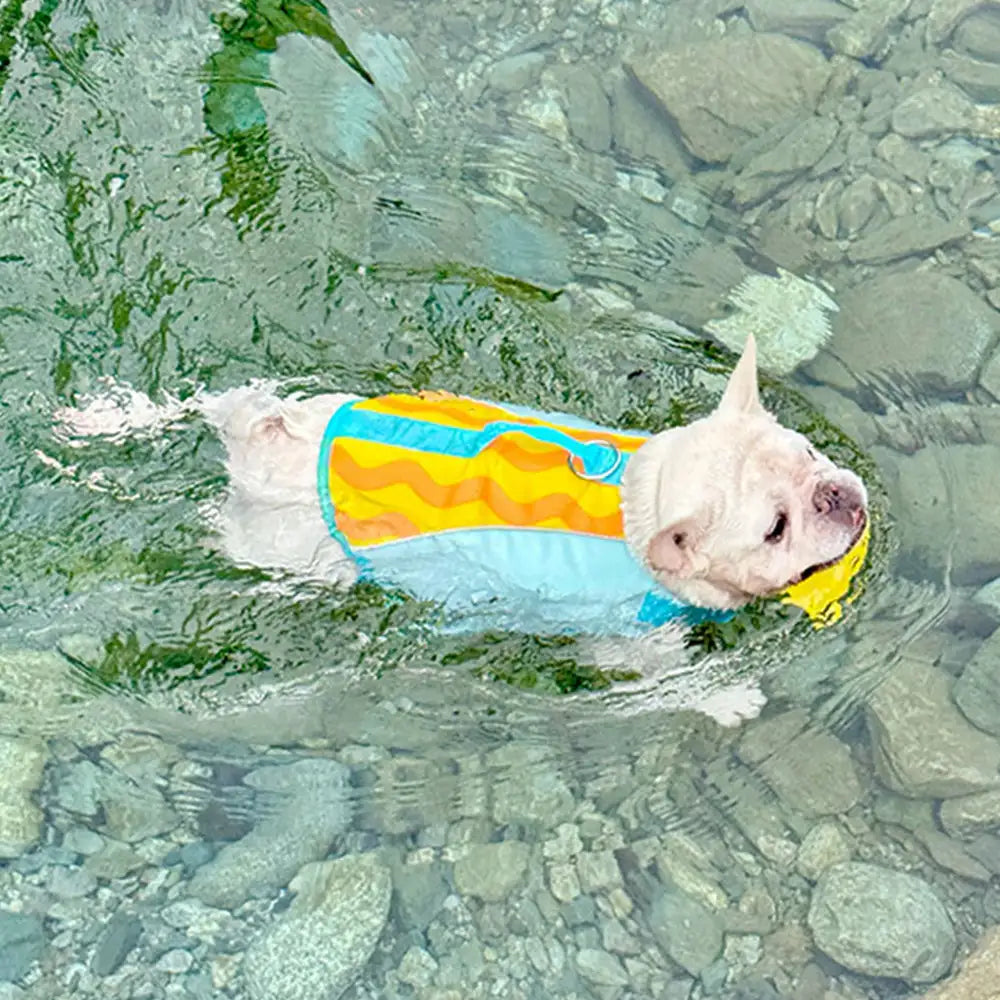 Verstellbare Hundeschwimmweste mit praktischem Haltegriff. Für optimale Passform und schnelle Rettung im Wasser.