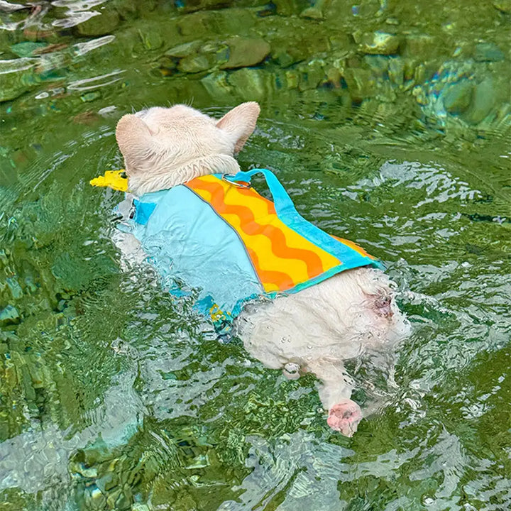 Sichere Hundeschwimmweste für kleine und große Hunde. Ideal für Wassersport, erhöht den Auftrieb und die Sicherheit.