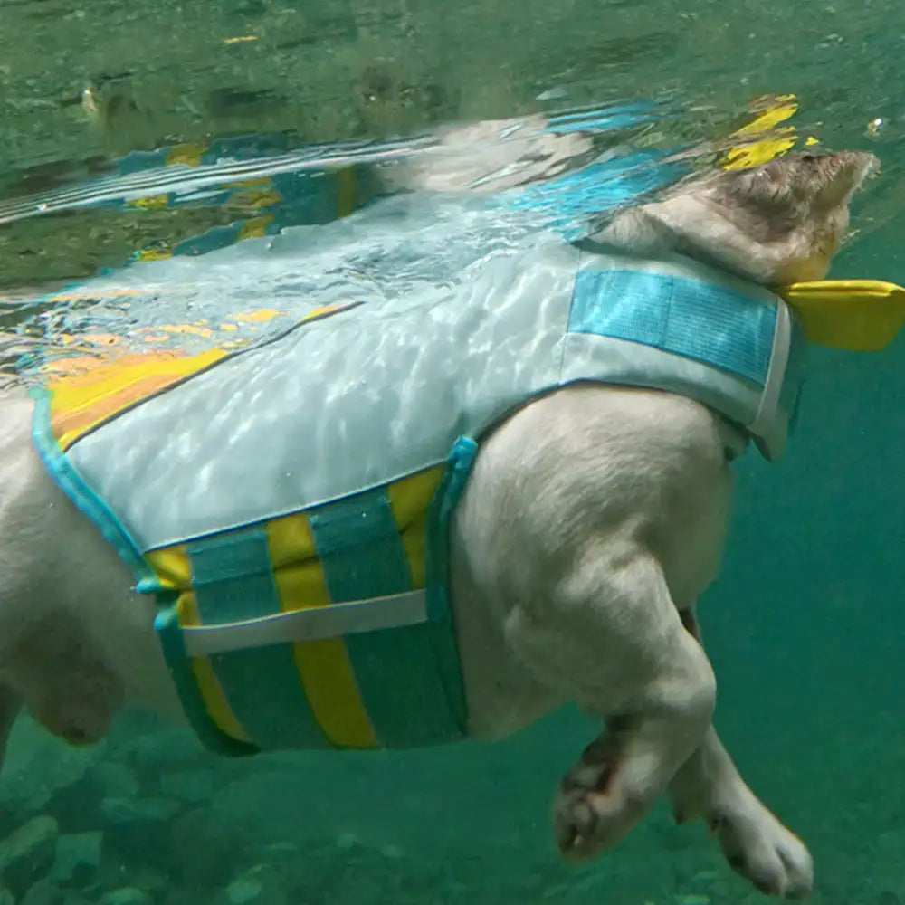 Hochwertige Hundeschwimmweste für mehr Auftrieb und Sicherheit. Robustes Hundezubehör für alle Wasserabenteuer.
