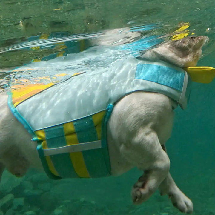 Hochwertige Hundeschwimmweste für mehr Auftrieb und Sicherheit. Robustes Hundezubehör für alle Wasserabenteuer.