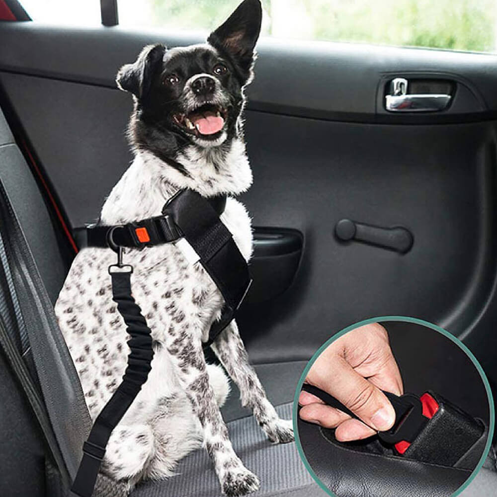 Verstellbarer Nylon-Hundegurt, flexibel anpassbar für optimale Sicherheit Ihres Vierbeiners.