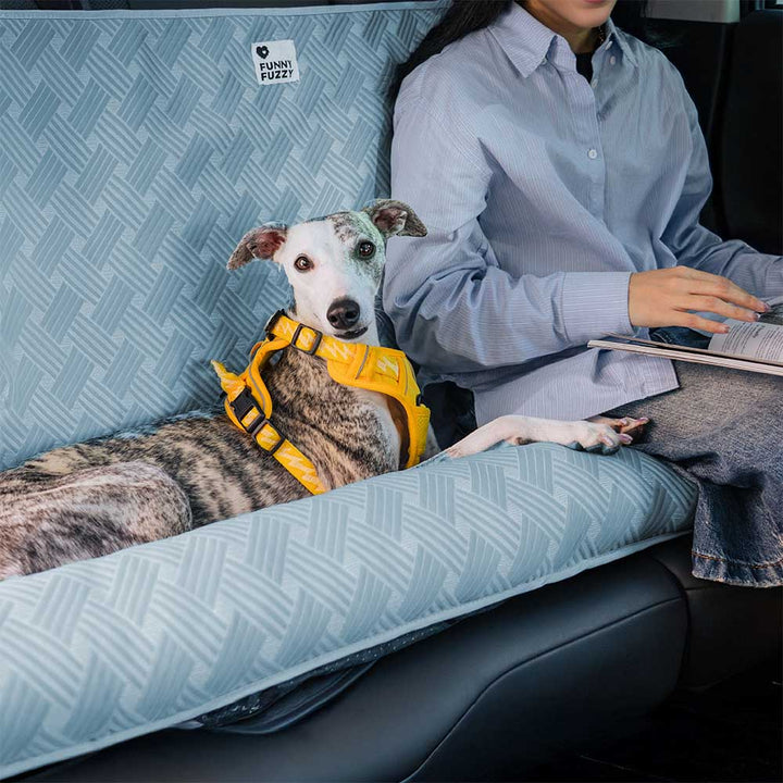 Premium Hundesitzbett fürs Auto, kühlend und sicher, ideal für jede Autofahrt.