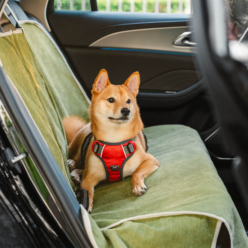 Robuster Autositztuch für Hunde, rutschfest & wasserdicht, macht Reisen mit Hund komfortabel und sicher.