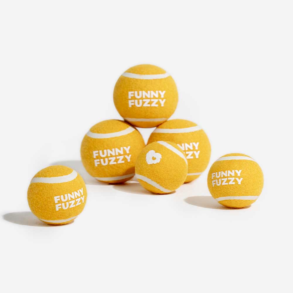 Hundespielzeug Tennisball mit Quietscher, perfekt für interaktives Apportieren & Springspaß drinnen & draußen.
