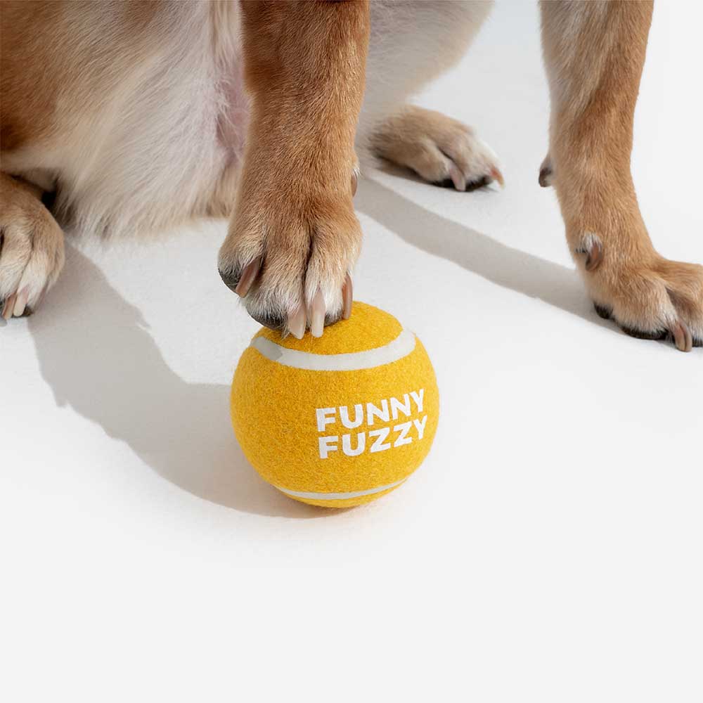 Set von Quietsch-Tennisbällen als Hundespielzeug, bietet vielfältigen Apportierspaß für alle Hunderassen.