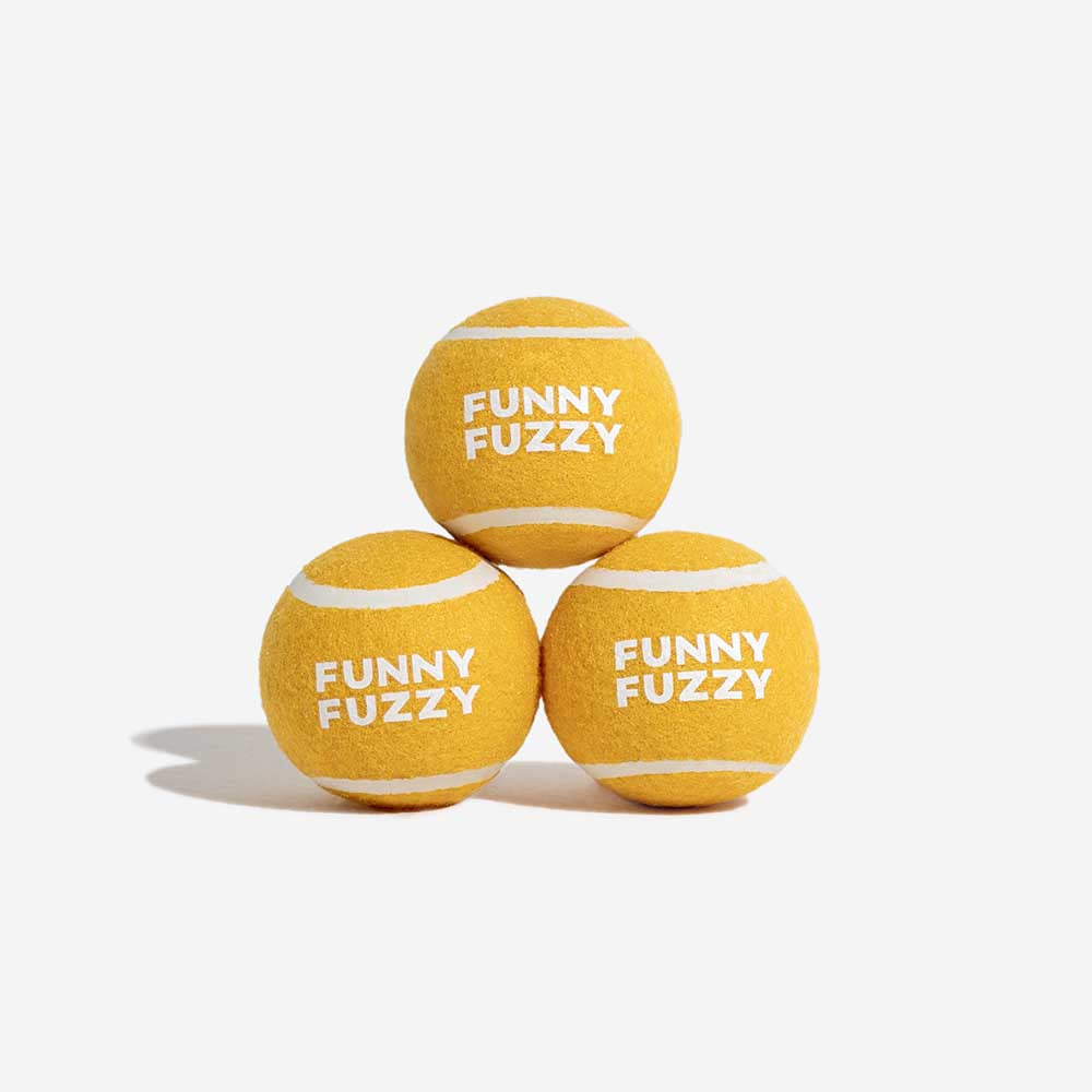 Vielseitiges Hundezubehör: Quietschender Tennisball als Spielball für Apportieren, Fangen & Kauen, indoor/outdoor.