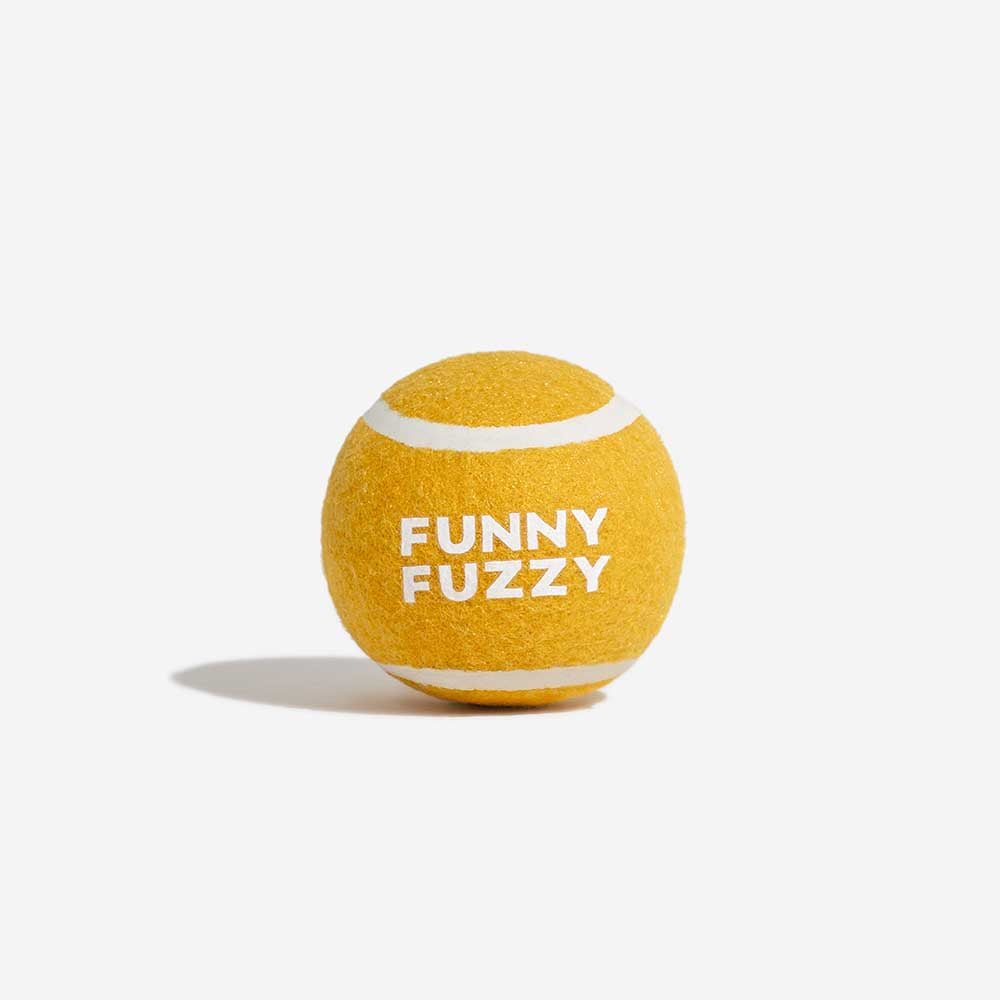 Quietschender Tennisball als Hundespielzeug, fördert Spieltrieb & Bewegung, perfekt zum Apportieren.