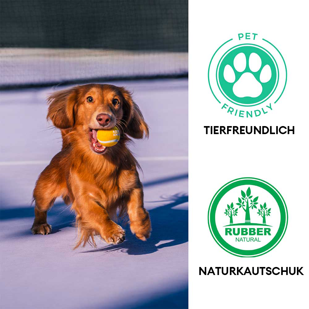Interaktives Hundespielzeug: Quietschender Tennisball für Hunde, bringt Spaß beim Apportieren & Fangen.