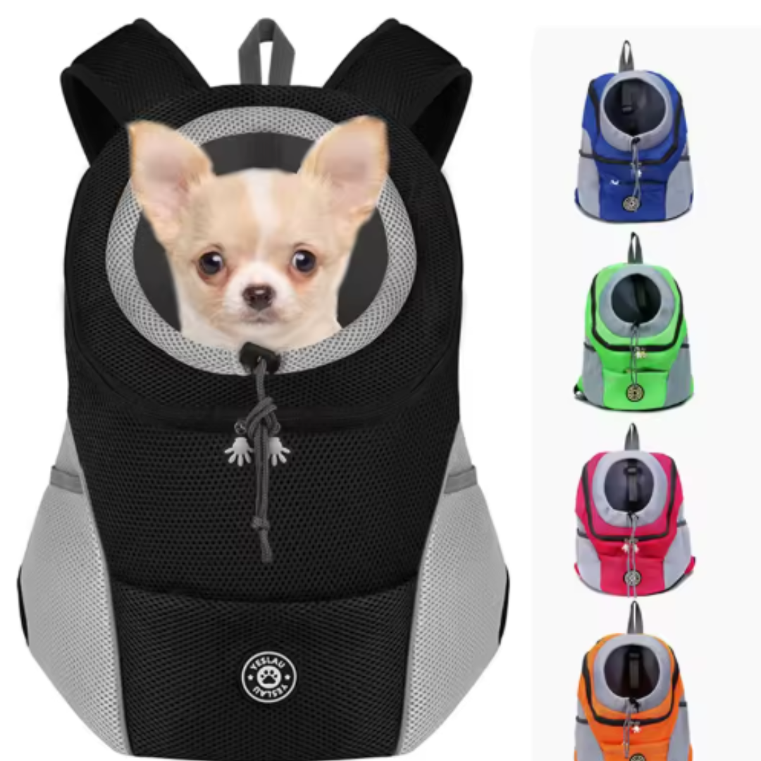 Hundetragepack für sicheren & komfortablen Transport kleiner bis mittlerer Hunde. Ideal für Reisen & Ausflüge.