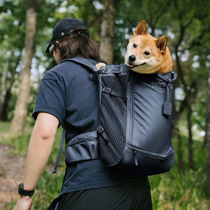 Person stellt Gurte des Hunderucksacks ein; ergonomisch & komfortabel für lange Reisen und unterwegs mit Haustier.