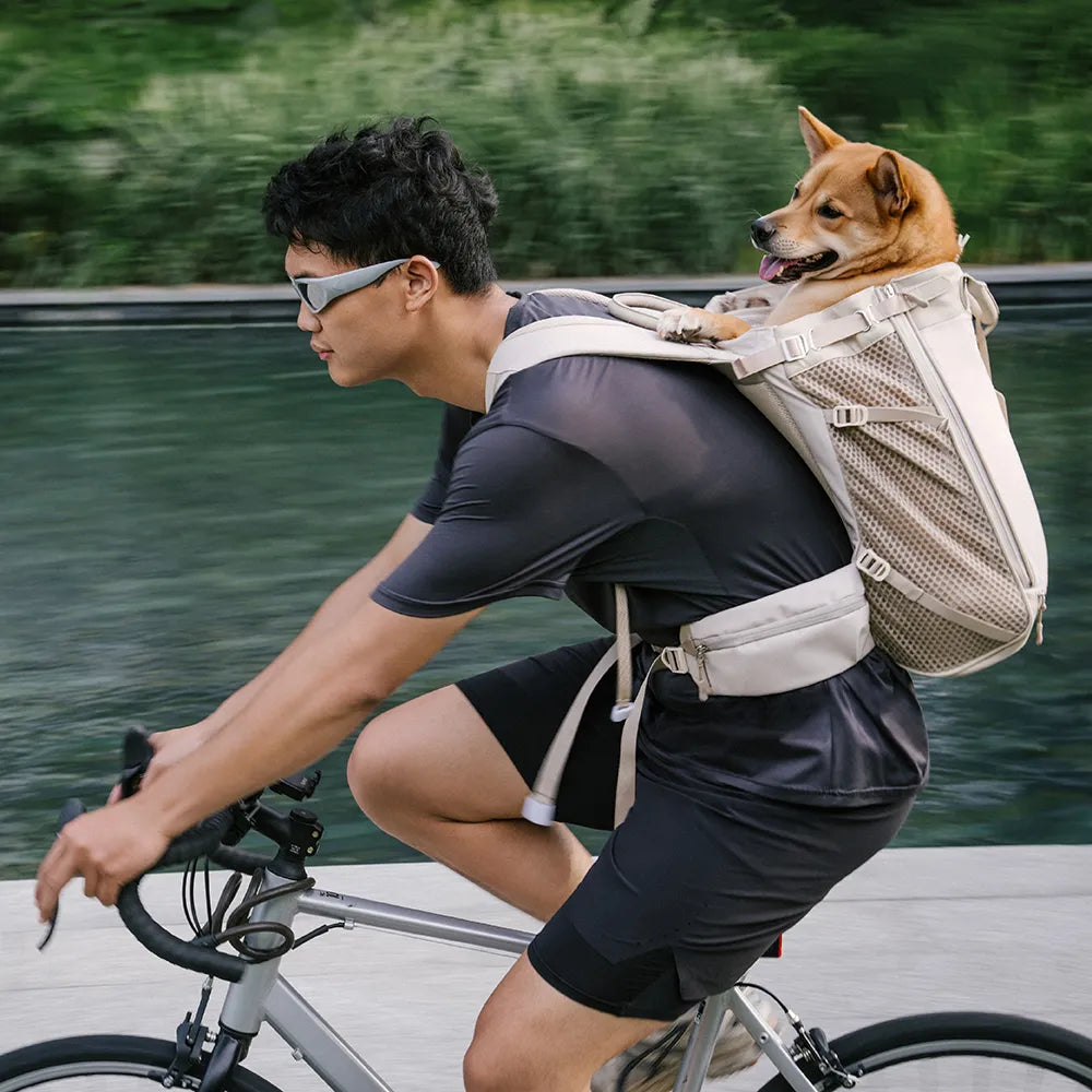 Komfortabler Hunderucksack mit gepolstertem Innenraum für Haustiere; ideal für sicheres Reisen unterwegs.