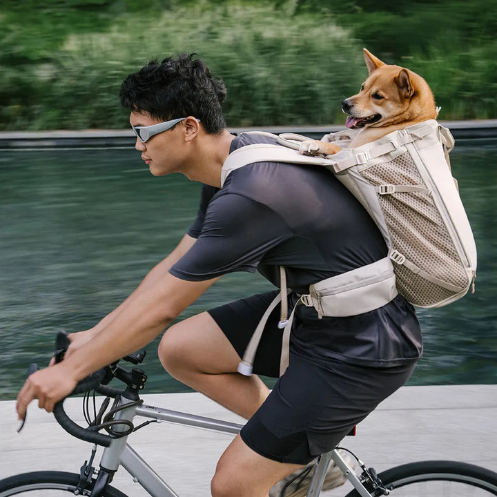 Komfortabler Hunderucksack mit gepolstertem Innenraum für Haustiere; ideal für sicheres Reisen unterwegs.