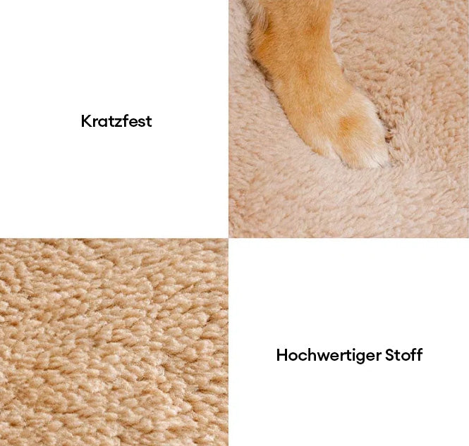 Graue Tierpflegetreppe: Gelenkschutz für Hunde. Erleichtert den Aufstieg zu Bett & Couch.