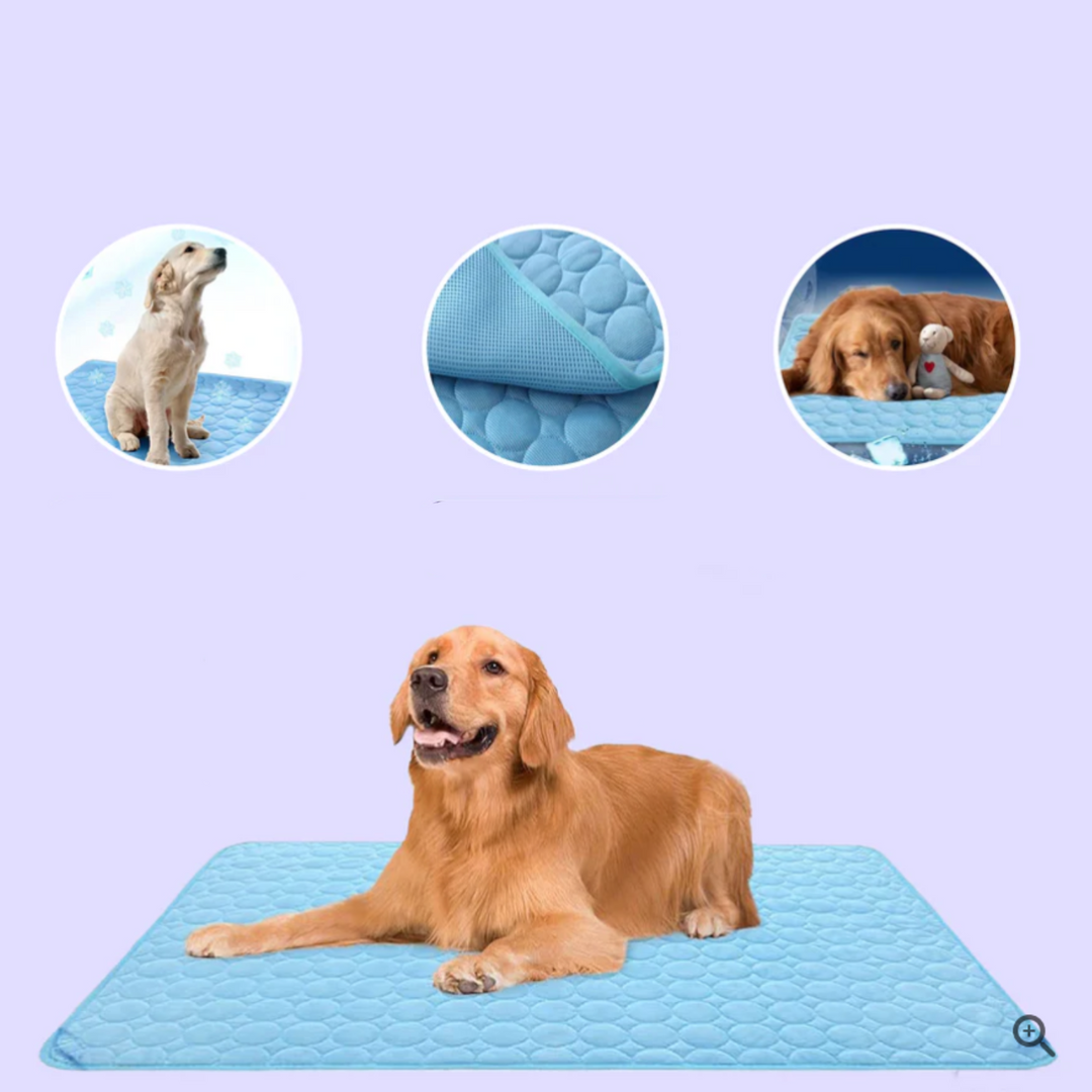 Innovative Kühlmatte für Hunde, 4x effektivere Abkühlung im Sommer. Perfekt für Haustierkomfort und Erfrischung.