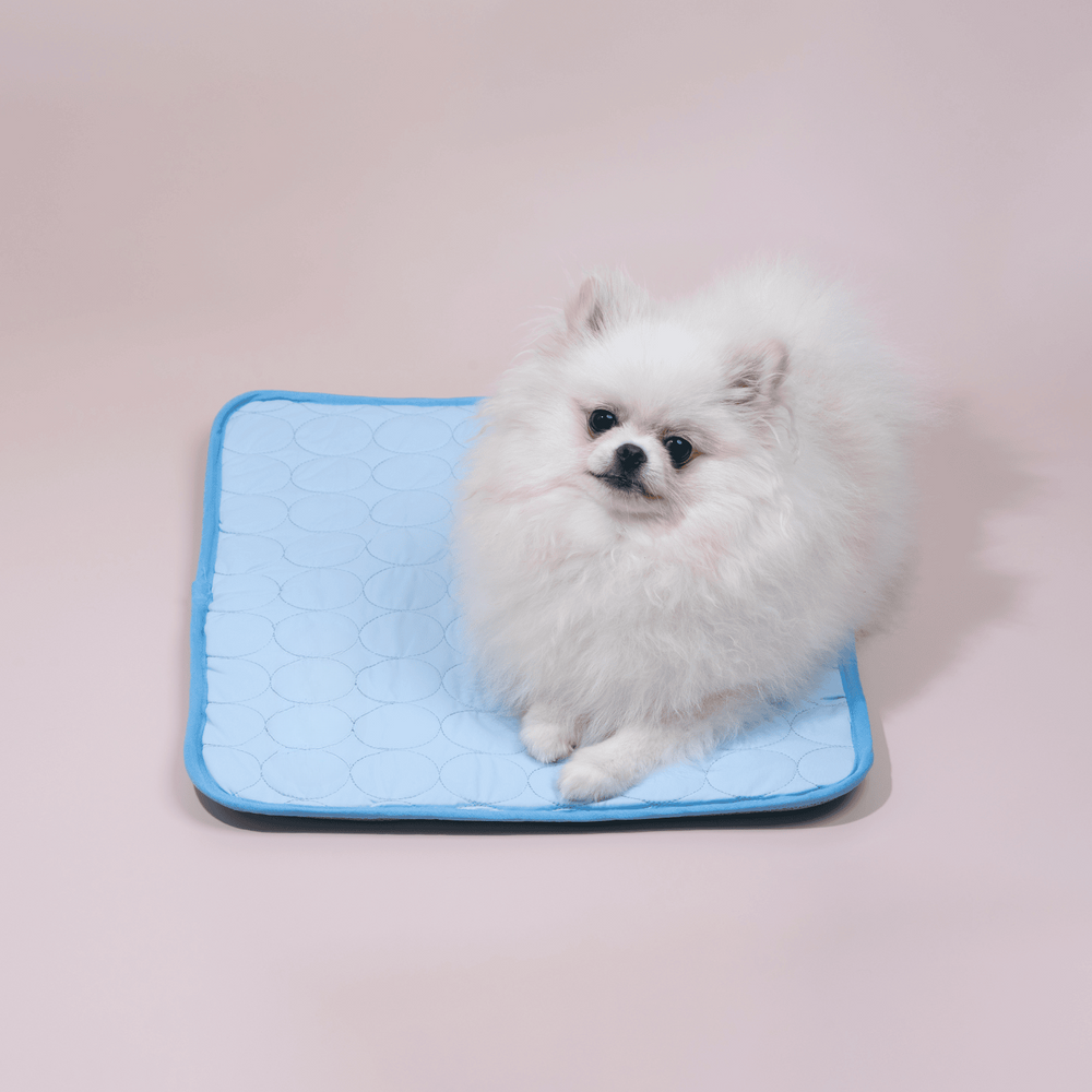 Glücklicher Hund genießt die erfrischende Kühlmatte im Sommer. Ideales Hundezubehör für schnelle Abkühlung.