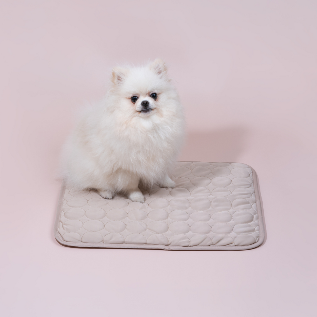 Nahaufnahme der innovativen Hundekühlmatte, die 4x effektivere Abkühlung bietet. Hoher Haustierkomfort.
