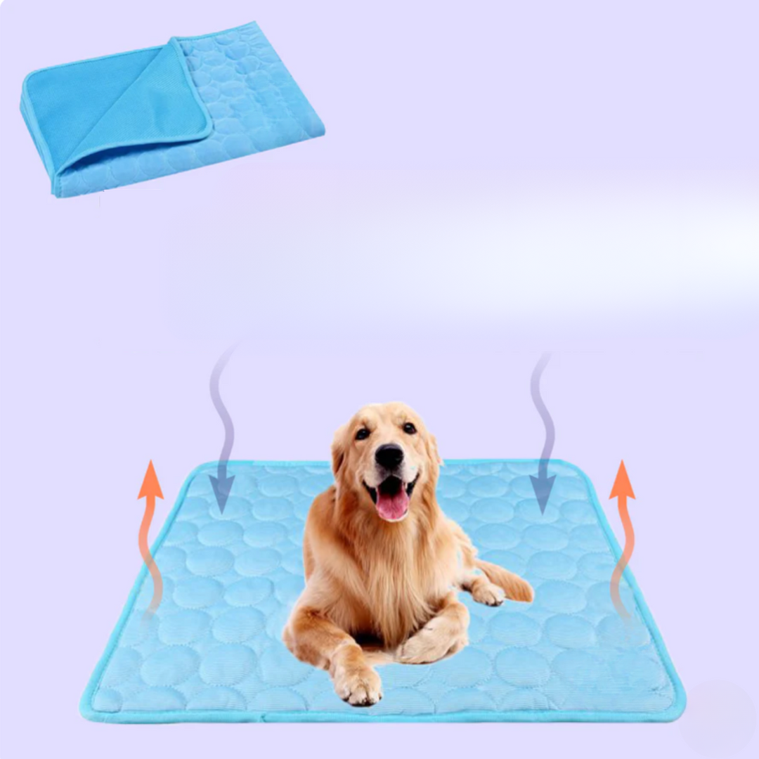 Entspannter Hund auf der Kühlmatte. Ultimativer Sommerkomfort und Erfrischung für Ihr Haustier.