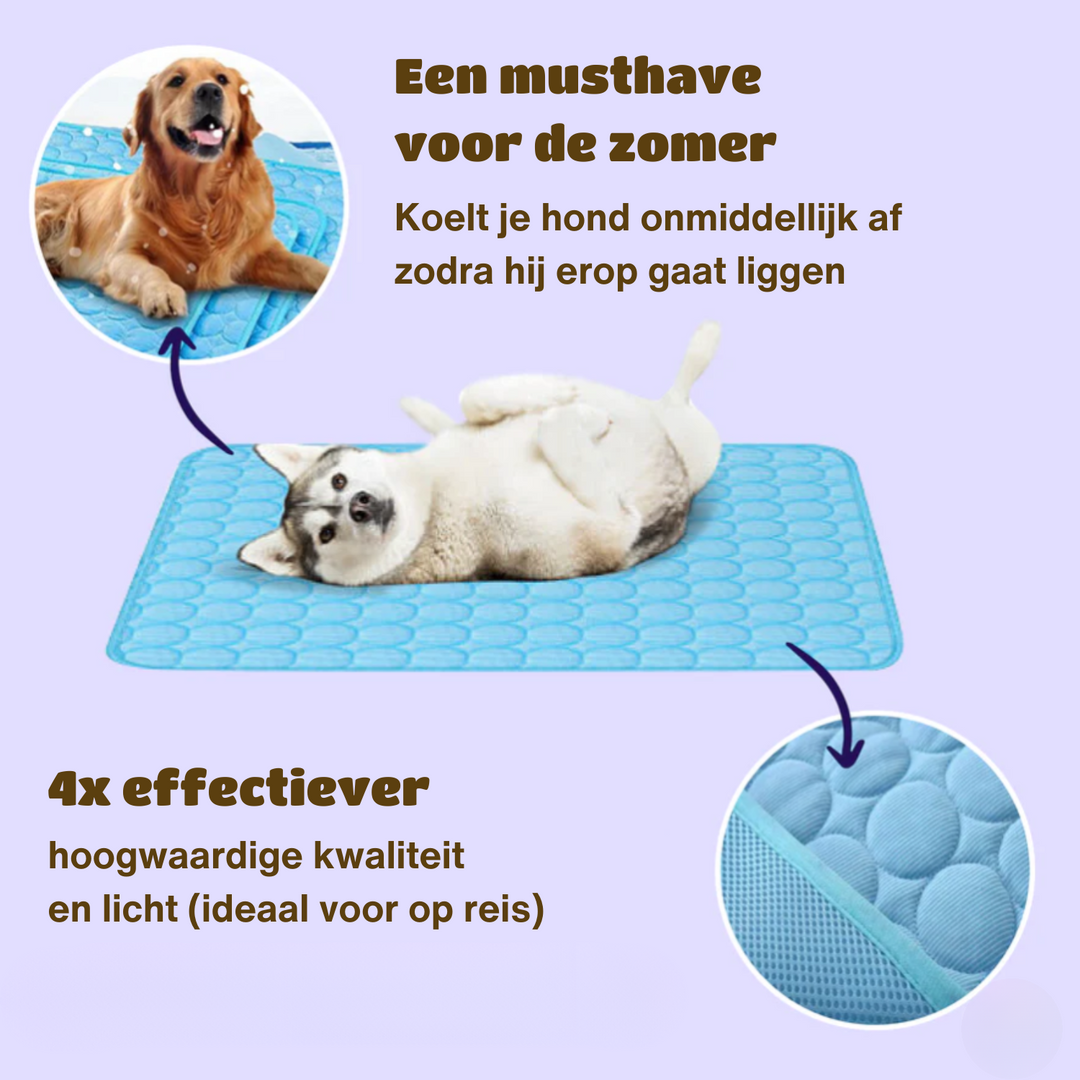 Großzügige, innovative Hundematte mit Kühlfunktion für alle Hunderassen. Optimales Hundezubehör.