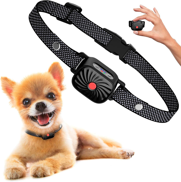 Intelligentes Antibellhalsband für Hunde mit Ton & Vibration. Wasserdichtes Hundezubehör zur Bellerziehung.