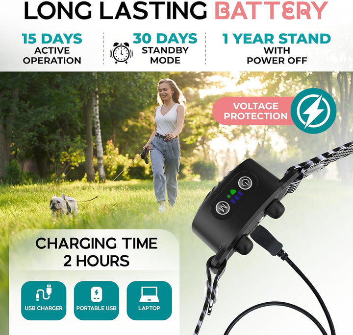 Modernes, wasserdichtes Antibellhalsband für Hunde. Ton- & Vibrationsfunktion für effektive Bellerziehung.