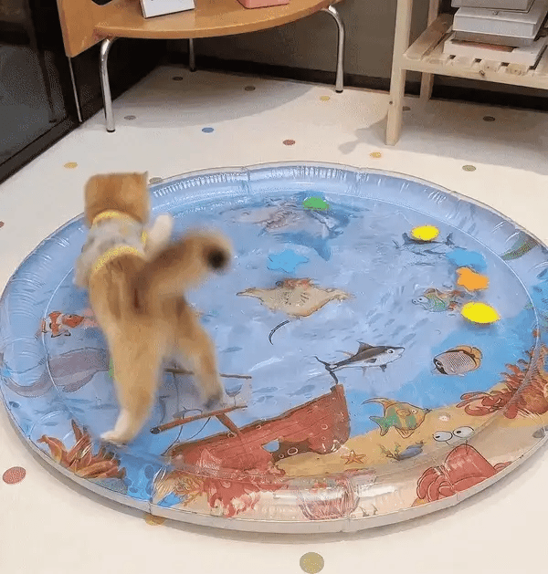 Verspielte Katze auf der PurrPulse interaktiven Spielmatte, die Neugier & Bewegung anregt. Optimales Katzenspielzeug.
