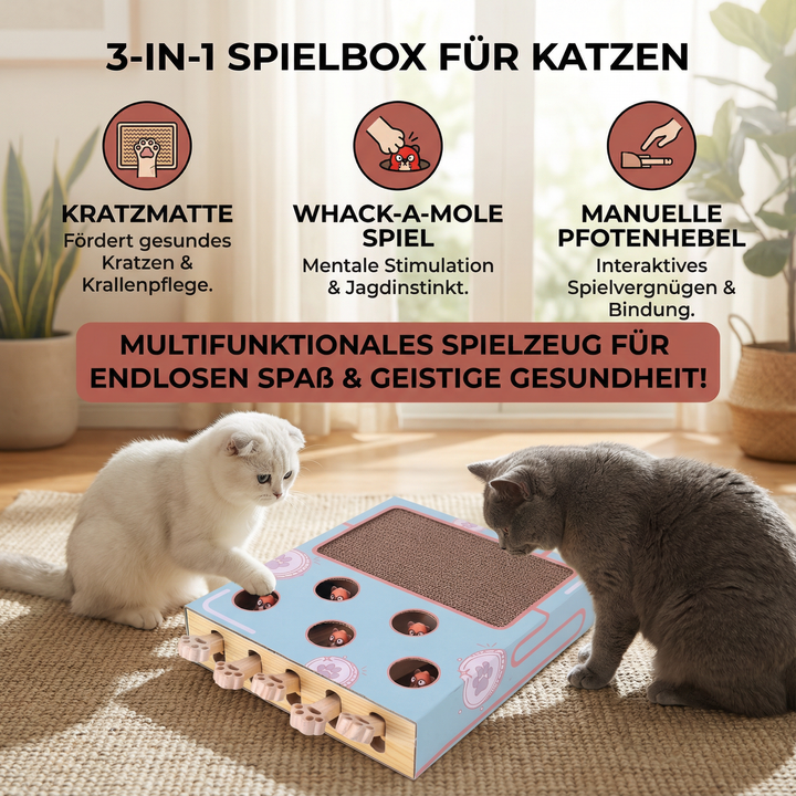 Katze spielt begeistert mit interaktiver Spielbox & Kratzbrett. Ideales Katzenspielzeug für Beschäftigung.