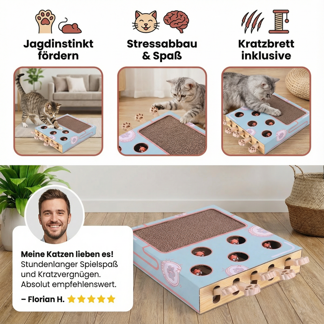 Detailansicht der interaktiven Spielbox. Robustes Kratzbrett & spannendes Katzenspielzeug für alle Katzen.