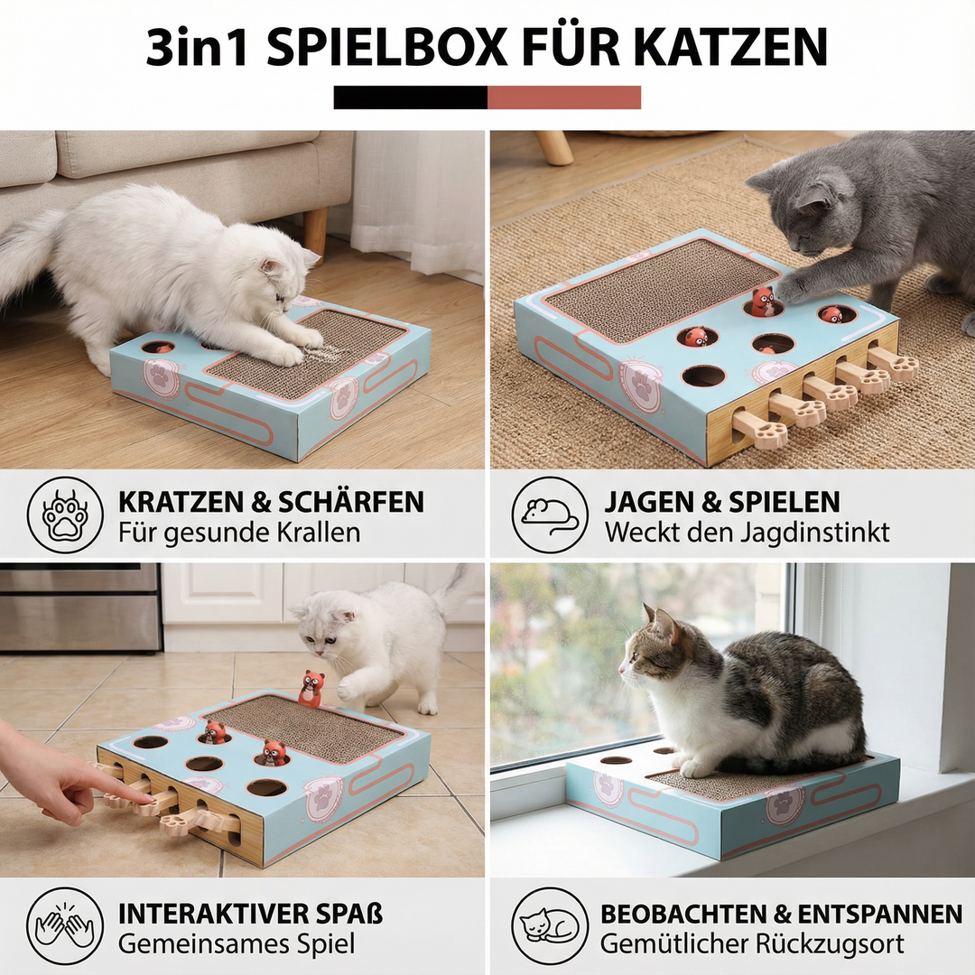 Moderne Katzenspielbox mit Kratzbrett. Fördert Spiel & Kratzgewohnheiten. Ideales interaktives Spielzeug.