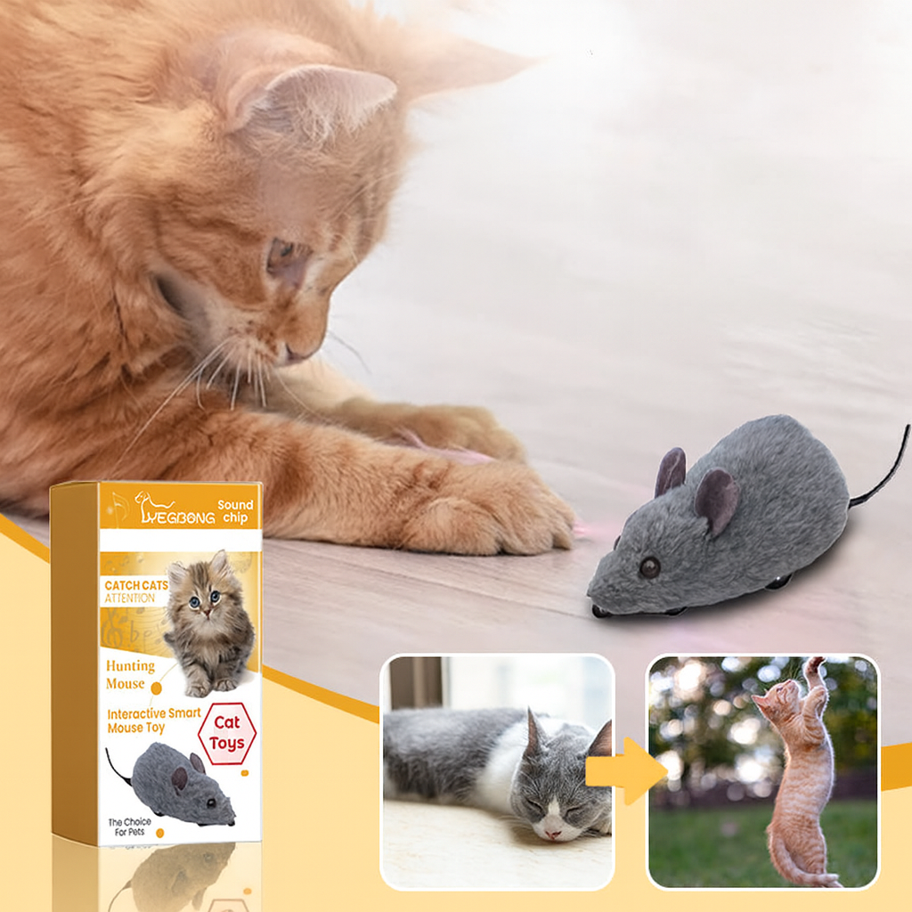 Interaktive Quietsch-Spielmaus für Hunde & Katzen. Robustes Haustierspielzeug gegen Langeweile.