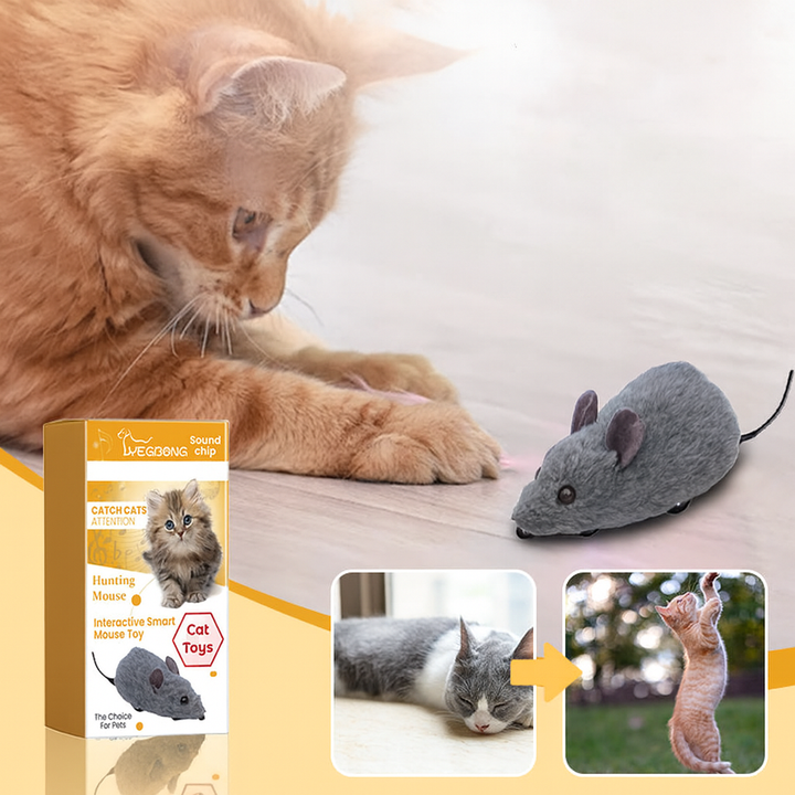 Interaktive Quietsch-Spielmaus für Hunde & Katzen. Robustes Haustierspielzeug gegen Langeweile.
