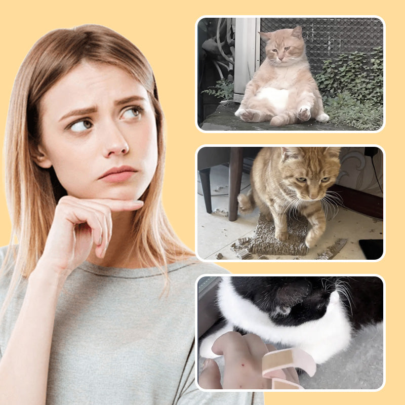 Quietschende Interaktiv-Maus zur Beschäftigung für Welpen & Katzenwelpen. Robustes Plüschtier.