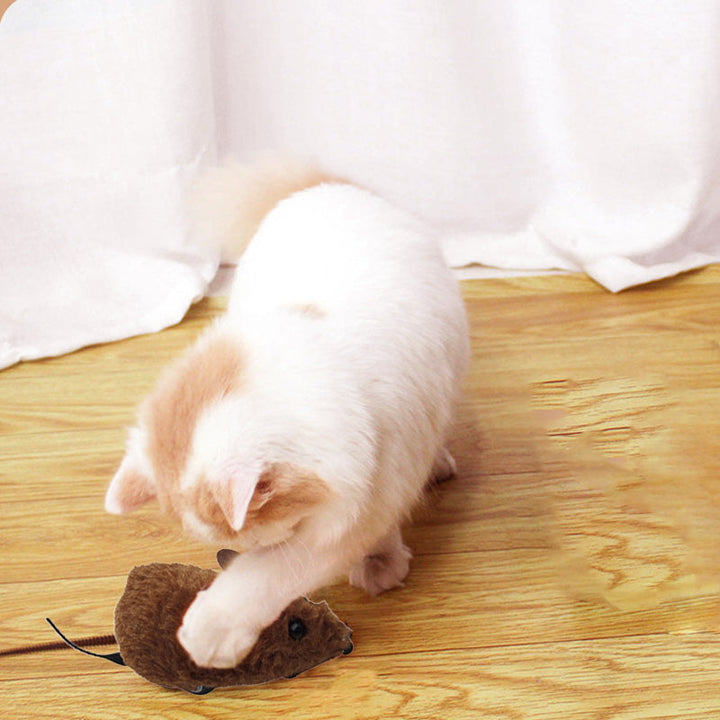 Vielseitiges Anti-Langeweile Plüschtier: Quietschende Spielmaus für Hunde & Katzen, robust.
