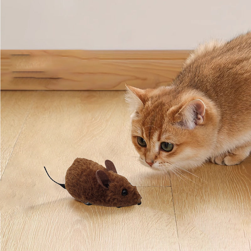 Robustes Quietschspielzeug aus Plüsch in Mausform für aktive Hunde und verspielte Katzen.