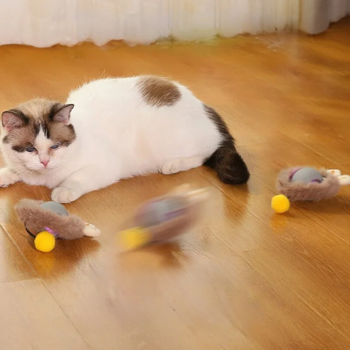Flauschiger Fellball als interaktives Katzenspielzeug. Perfekt für Hauskatzen, regt zum Jagen und Spielen an.