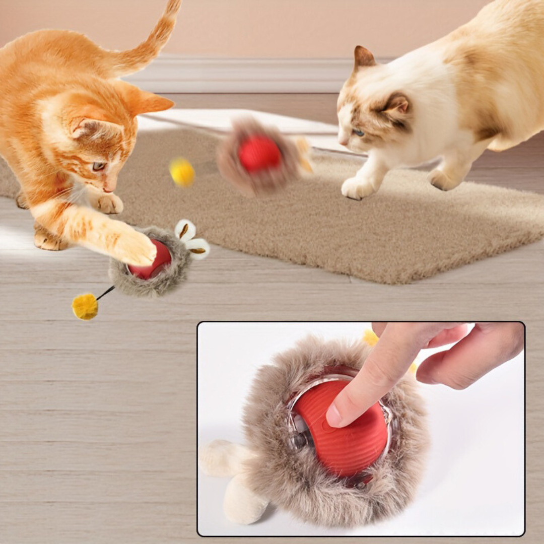 Dynamischer Fellball: Interaktives Katzenspielzeug für Hauskatzen. Simuliert Beute, fördert Bewegung und Spielspaß.