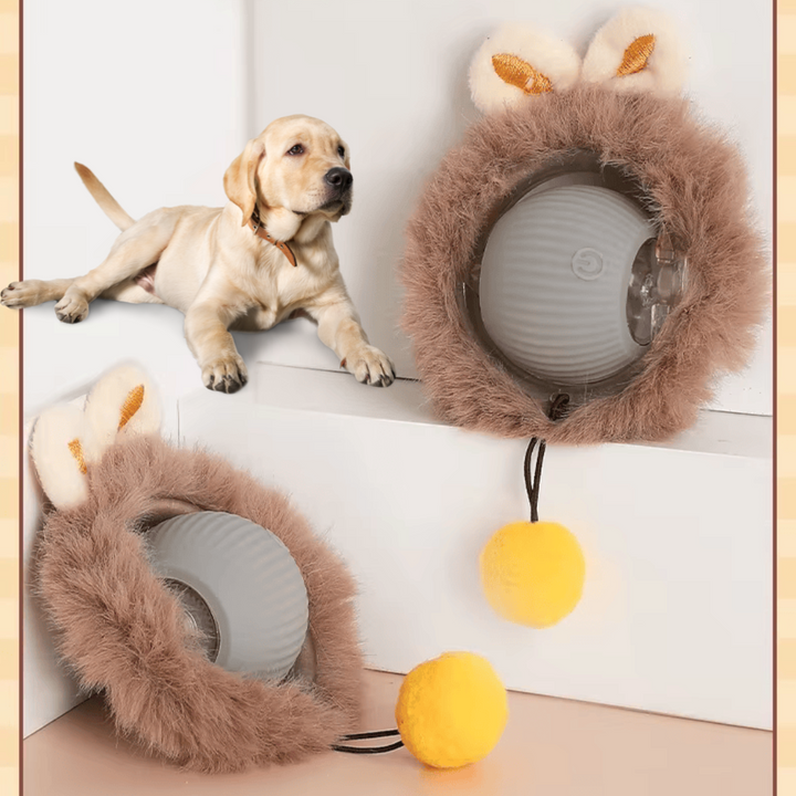 Interaktiver Fellball für Hunde, beugt Langeweile vor. Ideales Hundespielzeug für aktive Welpen & Hunde.